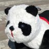 ミミコ🐼 的头像