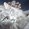 Фото профиля みやりん