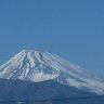 Фото профиля 紺,kon,紺