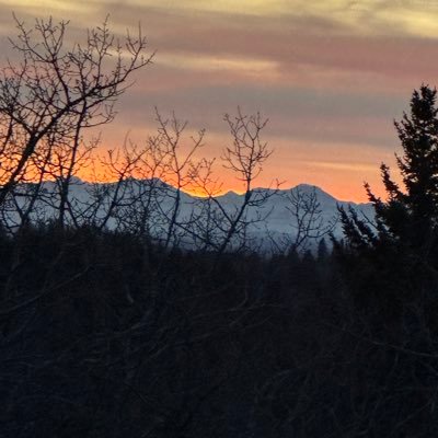 Raine446655's profile picture