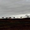 ابو عبدالله الدوسري 的头像