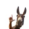 Mari Rezende's profile picture