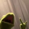 Profilbild von the FLAMIN KIWI