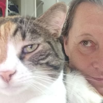 Eva 😺😸🐟🍷❤'s profile picture