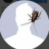 Dhiresh's profile picture