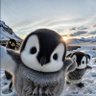 シン profil fotoğrafı