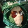 SnoraDev🇮🇪's profile picture