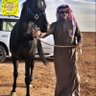Фото профиля د. عواد الذايدي🇸🇦