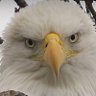 Saberman1's profile picture