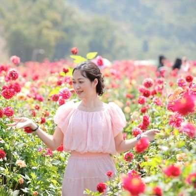 NguynThHiL5's profile picture