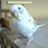 Profilbild von haku.m