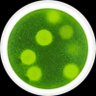 Фото профиля Organism Seven