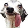 Crypto George's profile picture