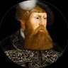 Gustav Vasa's profile picture