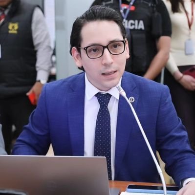 Néstor Toro-Hinostroza's profile picture