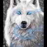 Winterwolf 的头像