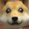 カシラちゃん profil fotoğrafı