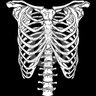 Фото профиля TheRealCe0