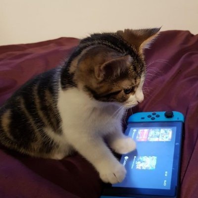 BaekLight7's profile picture