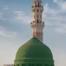 Фото профиля المديني/Almadini