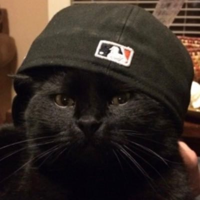 tvgatonegro's profile picture