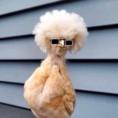 Thickiana2001's profile picture