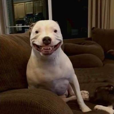 Pepe_remake_'s profile picture