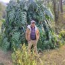 Sachin Acharya🇳🇵✨️'s profile picture