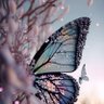 Profilbild von Iam_aButterfly🦋