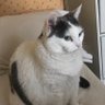 Rzqr's profile picture