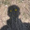 Z twarzy podobny zupełnie do Nikogo.'s profile picture