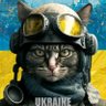 Viktory 🍁🇺🇦🇨🇦🏳️🌈 的头像