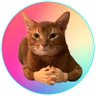 Фото профиля Cat Wif Hands