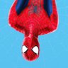 Harry Quinn's profile picture