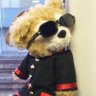 ユーミン(アナとユミの女王)'s profile picture