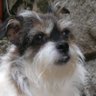 Rosario Alonso Pérez's profile picture