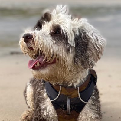 BeMoreBob's profile picture