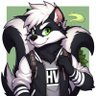HV 的头像