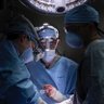 Dr. Waseem Halahleh's profile picture