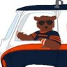 Фото профиля Mr.C-hicago Bears Fan