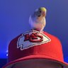 Profilbild von mark
