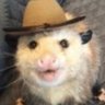 Profilbild von rollertoaster
