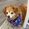 Joan Marie's profile picture