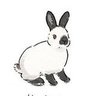 Фото профиля MissPaperRabbit