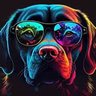 THR Picer profil fotoğrafı
