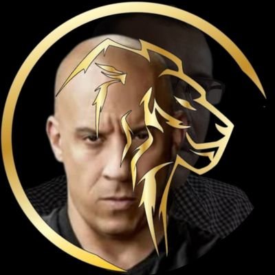 lin_conil's profile picture