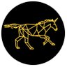 Shagy's profile picture
