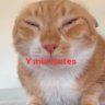 🐕🐕🐕's profile picture