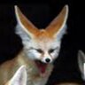 FennecFoxFello profil fotoğrafı