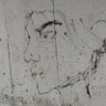 E's profile picture